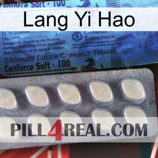 Lang Yi Hao 34
